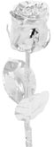Silver-Eternity-Rose